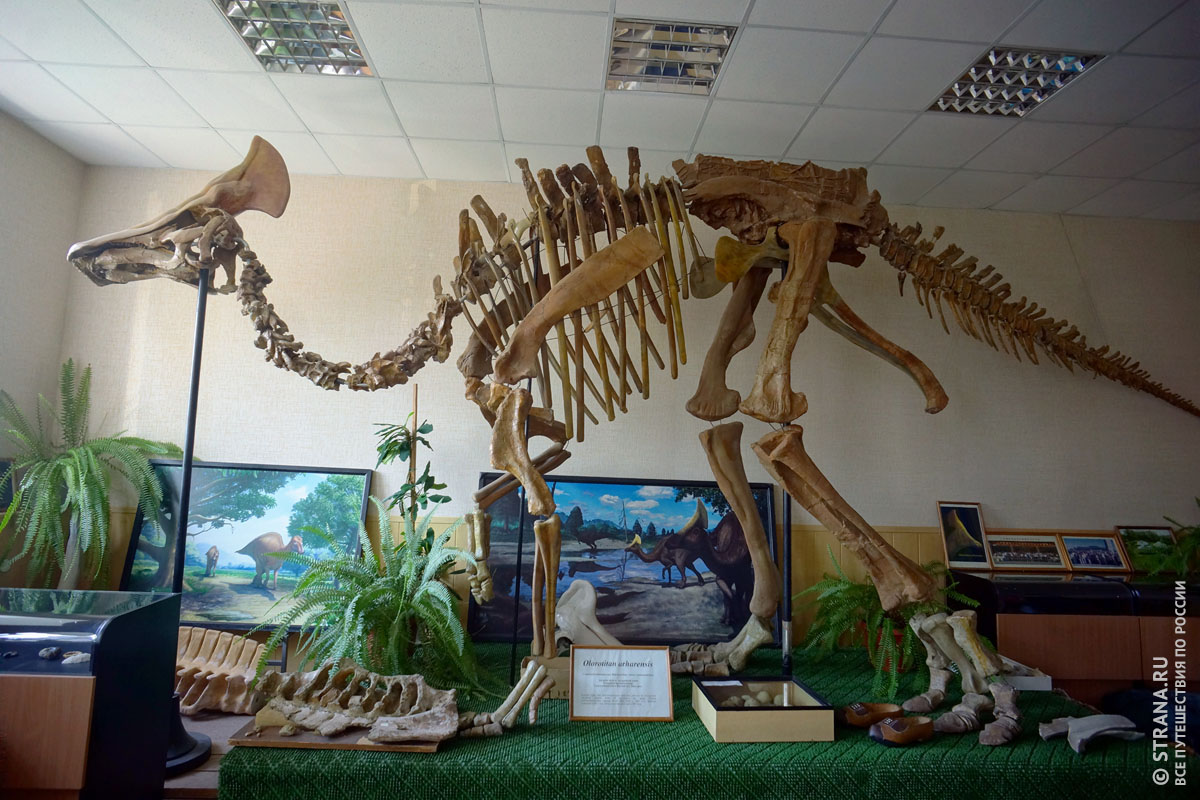 Динозавры Амурской области